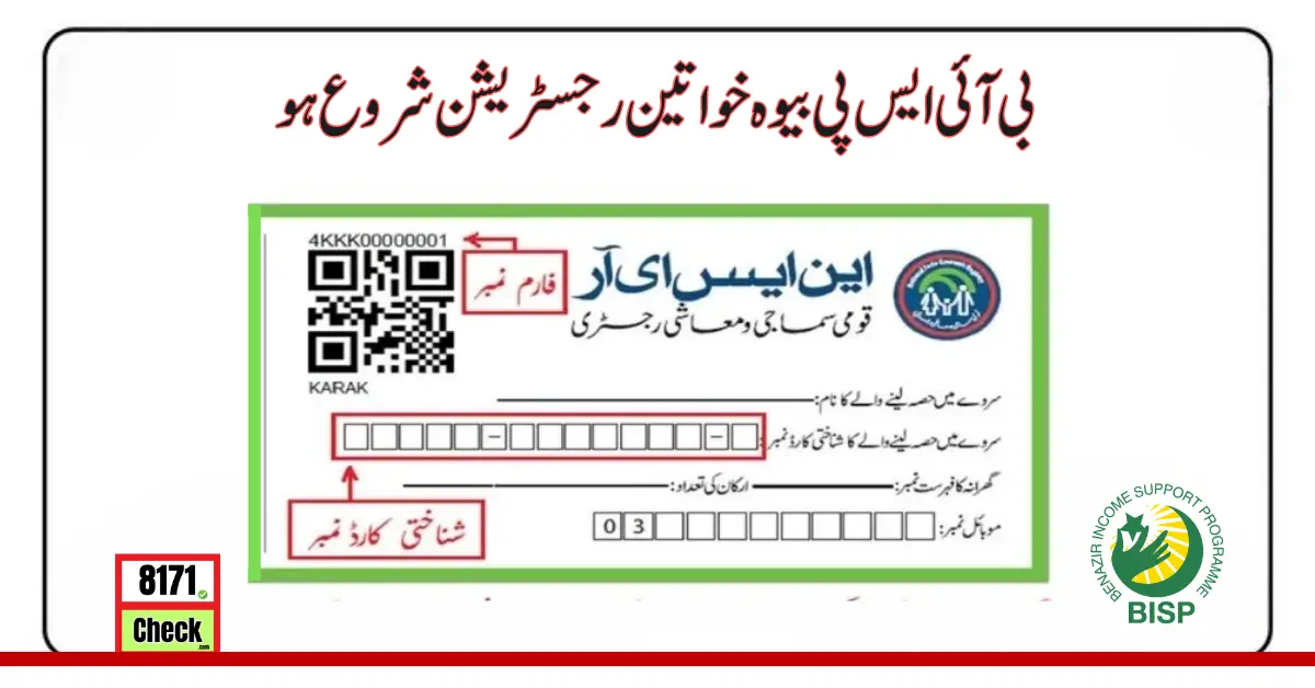 NSER Survey For Widow Women In BISP Registration 2024