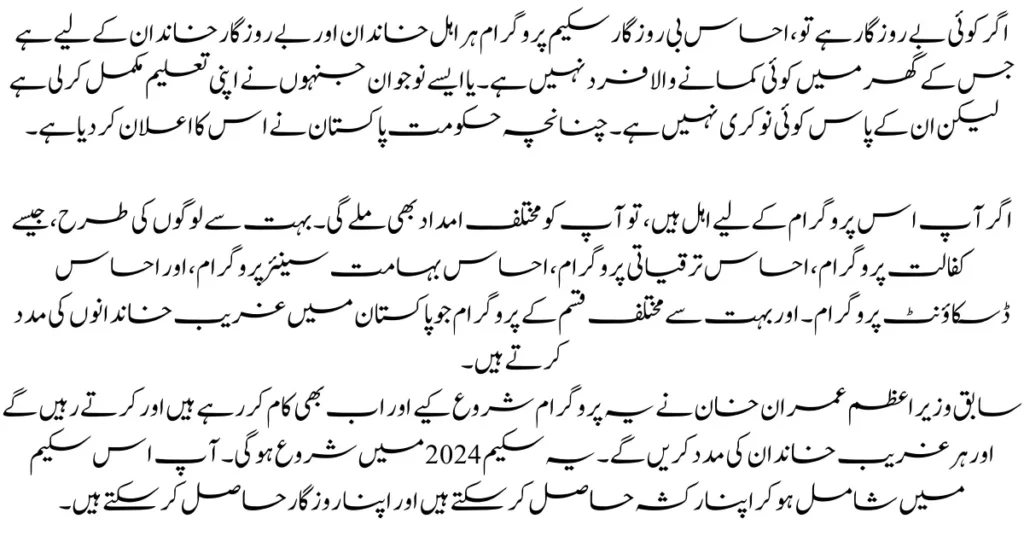 Ehsaas Be Rozgar Scheme Program Started Again 2024