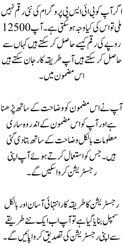 Main Reason Why People Get Can Not 12500 New Payment For BISP