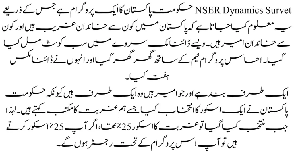 NSER Dynamic Survey 2024