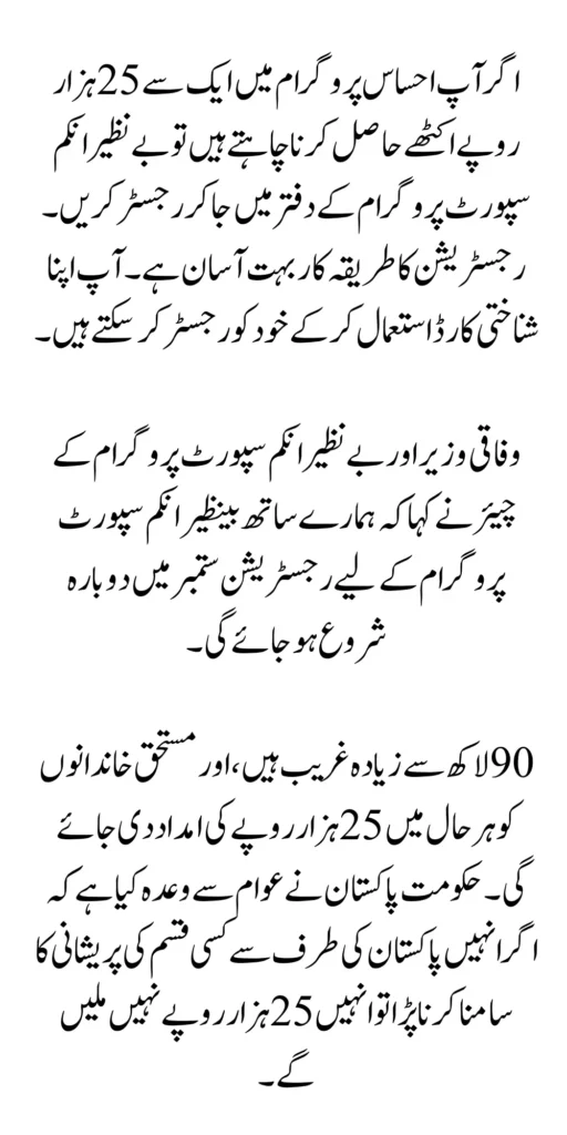8171 Ehsaas Program 25000 BISP Check Online 2024