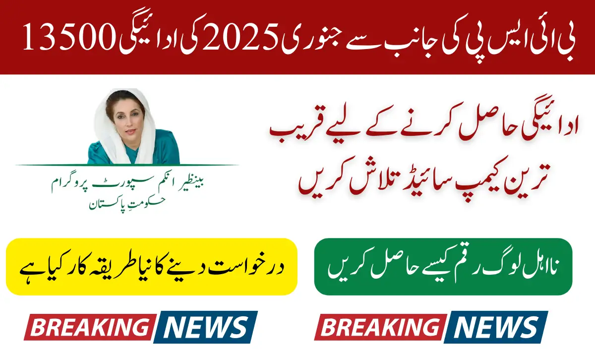 BISP January 2025 Payments