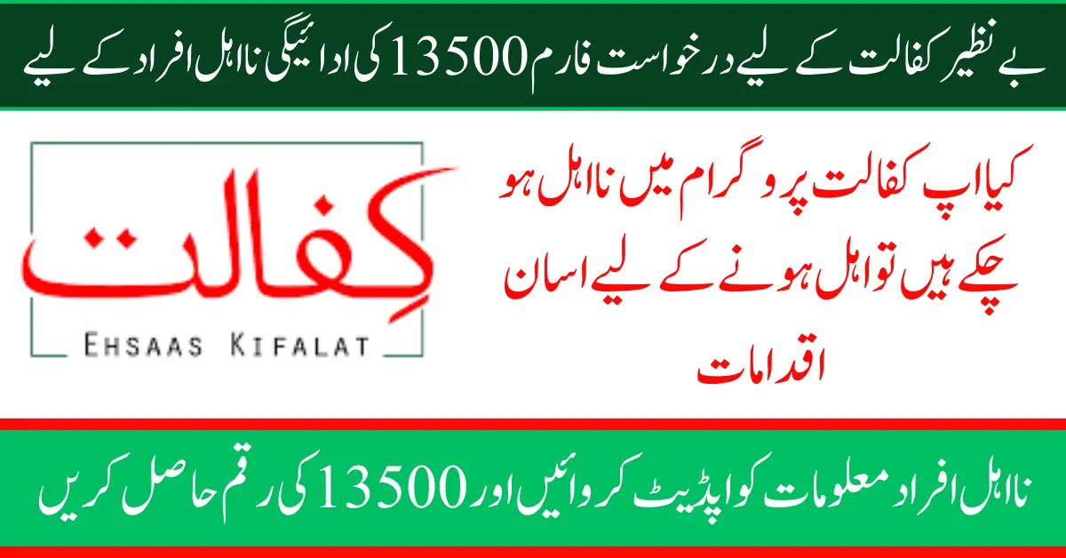 Application Form For Benazir Kafalaat 13500 Payment In 2025 Ineligible People