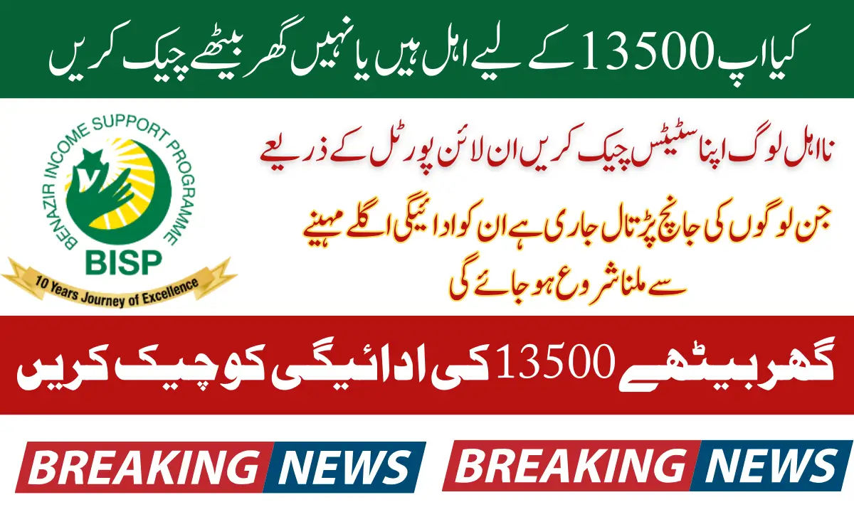 BISP 8171 Payment Status Check Online 13500 In 2025 Using Portal And SMS Method