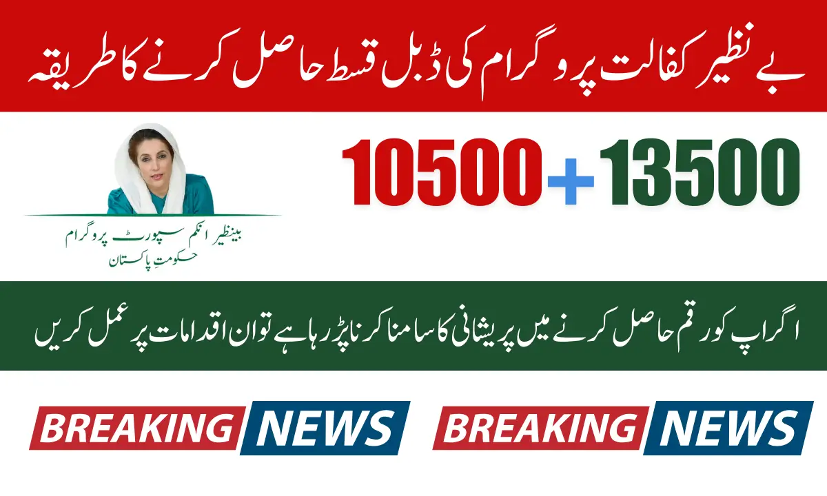 Double Payment Alert BISP