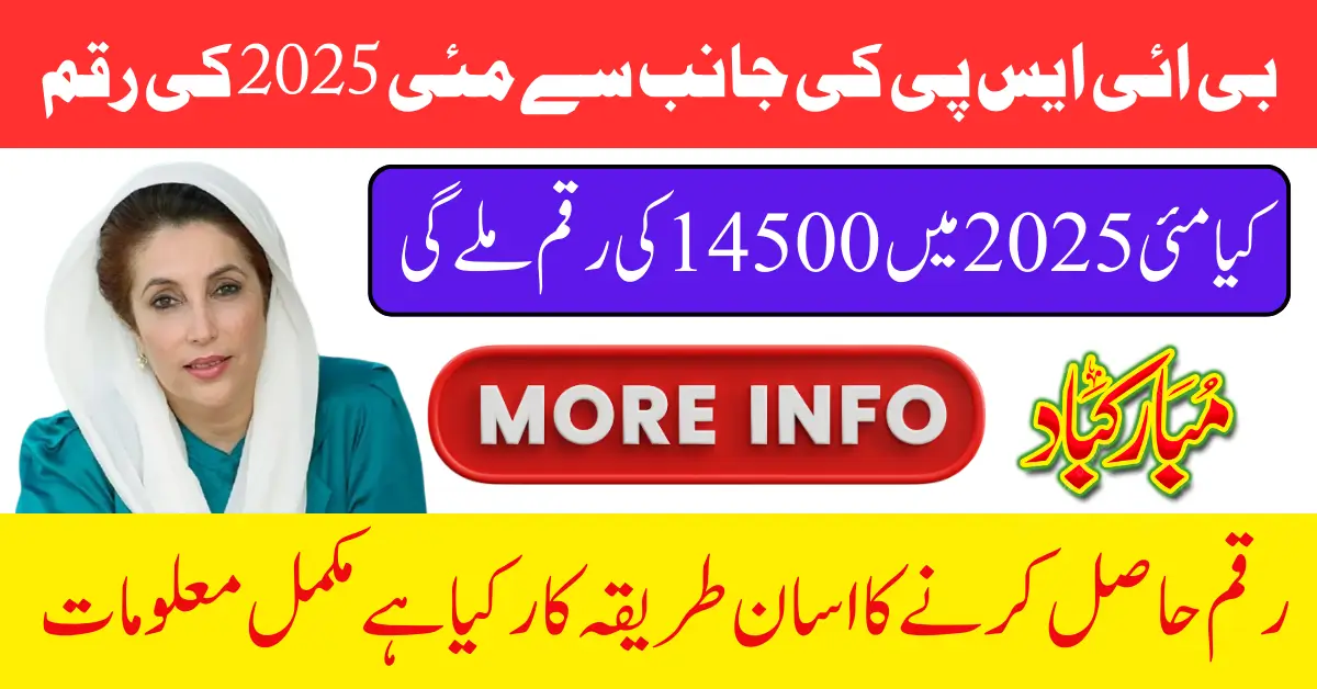 BISP May 2025 Payment Status Check Through Web Portal And SMS Know Full Details