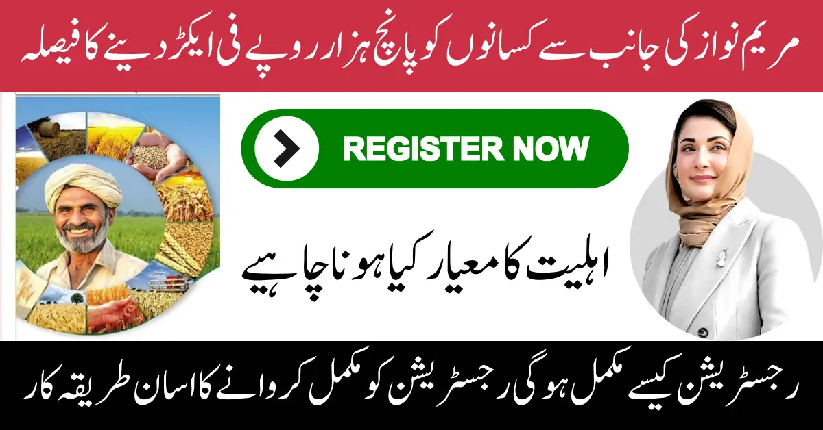 CM Punjab Wheat Support Program 5000 Per Acre Know Eligibility Criteria And Registration Process