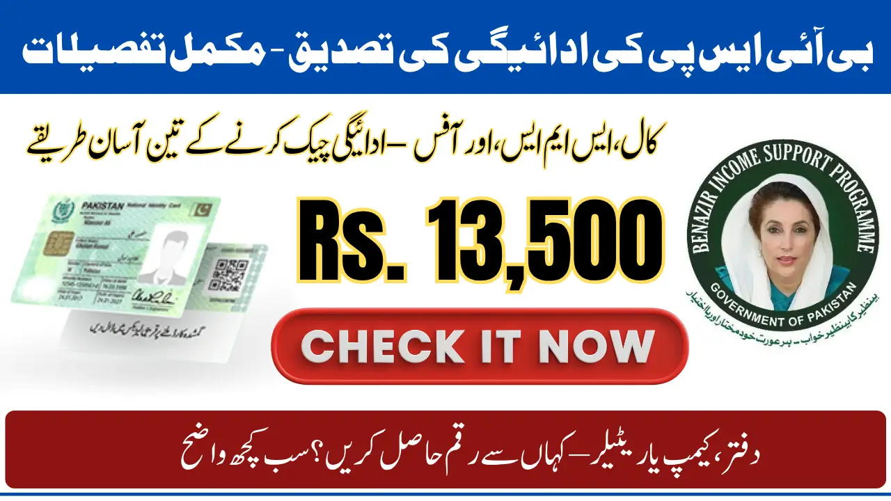 CNIC Confirmation for 8171 BISP Payment 2025 – Quick And Easy Methods With Full Details