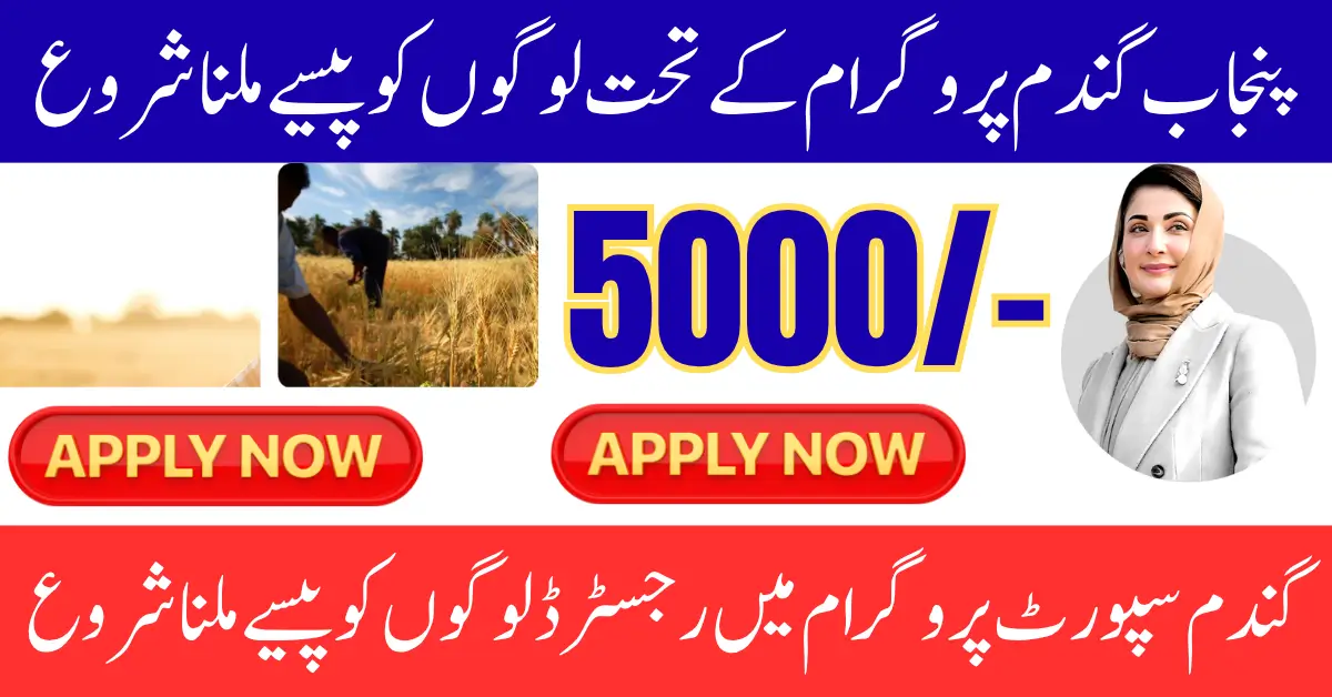 Punjab Wheat Support Program Pay Order Distribution Begins for Farmers Know Details Step By Step