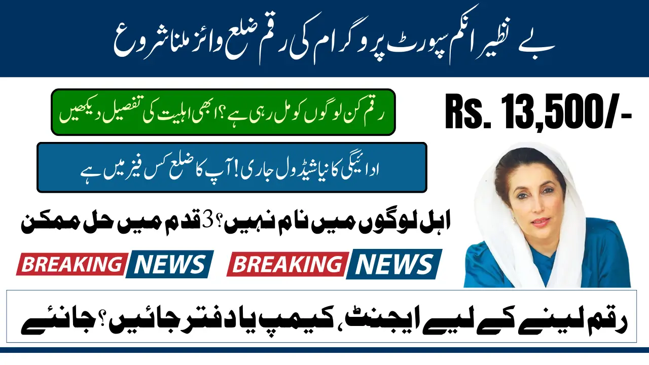Benazir Income Support Programme Pending Payment Release District Wise Know Full Guide 2025
